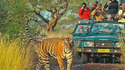 Experience INDIA