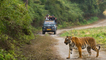 Experience INDIA